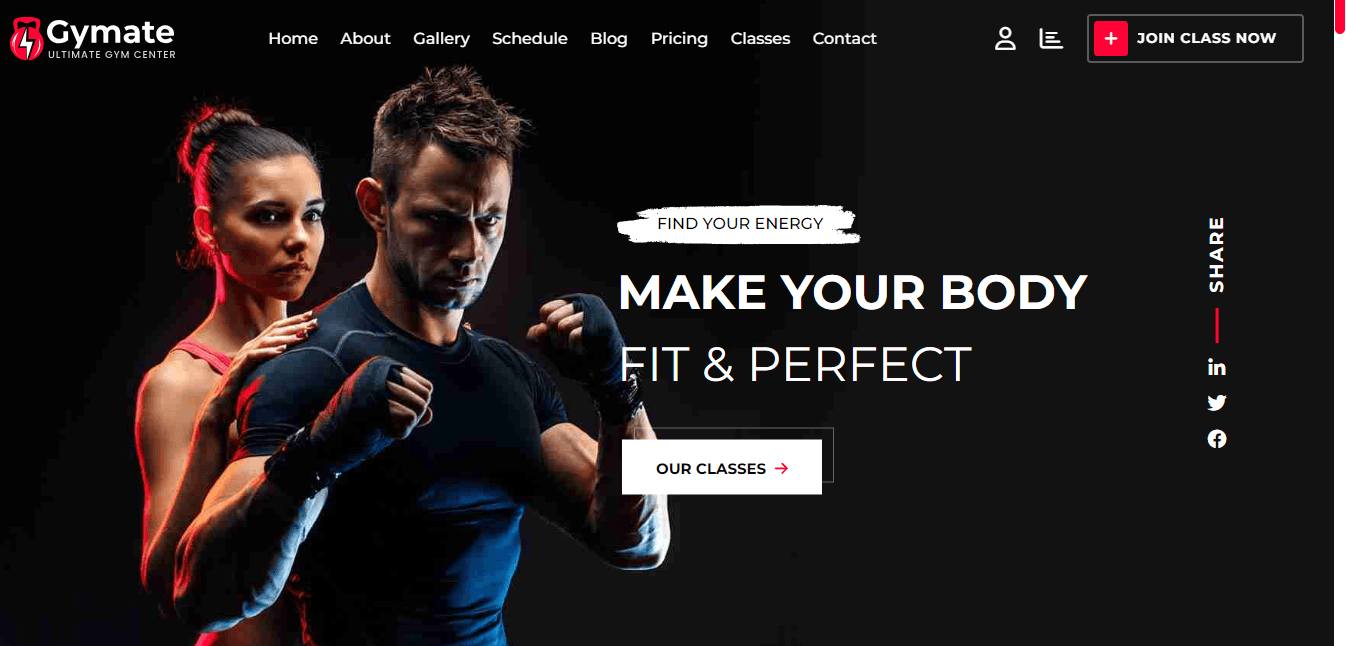 Gymate  Website